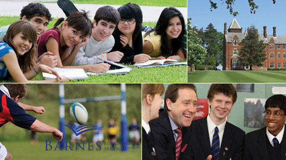 barnes educational services